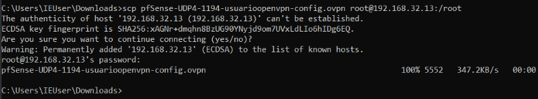 Pasar fichero ovpn a proxmox